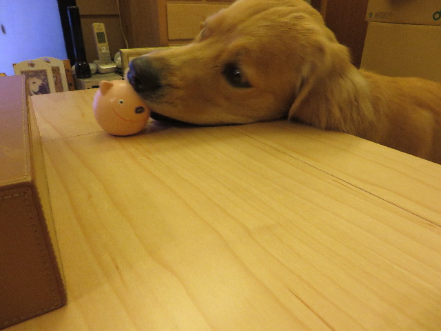 ファイル 7146-5.jpg