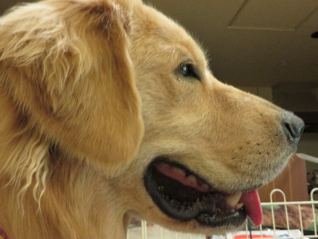 ファイル 7147-3.jpg