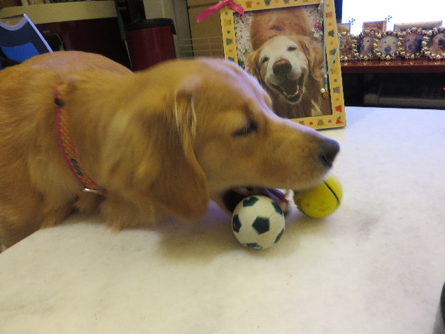 ファイル 7147-4.jpg