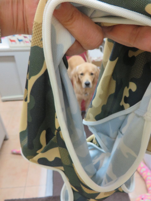 ファイル 7148-1.jpg