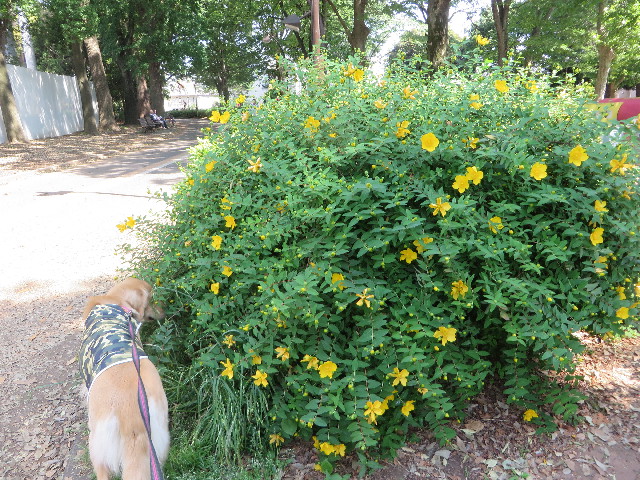 ファイル 7148-2.jpg