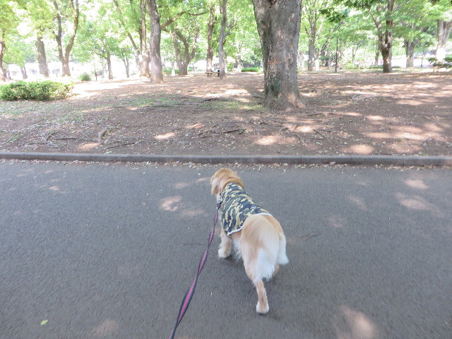 ファイル 7148-3.jpg