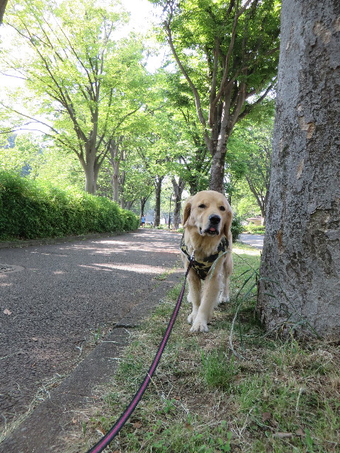 ファイル 7148-4.jpg