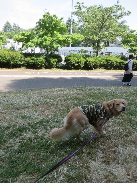 ファイル 7148-5.jpg