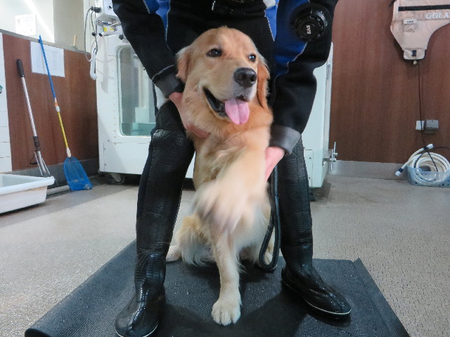 ファイル 7149-1.jpg