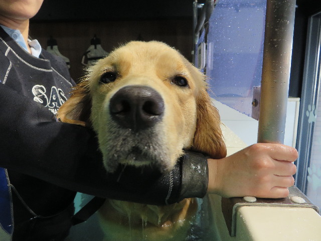 ファイル 7149-2.jpg