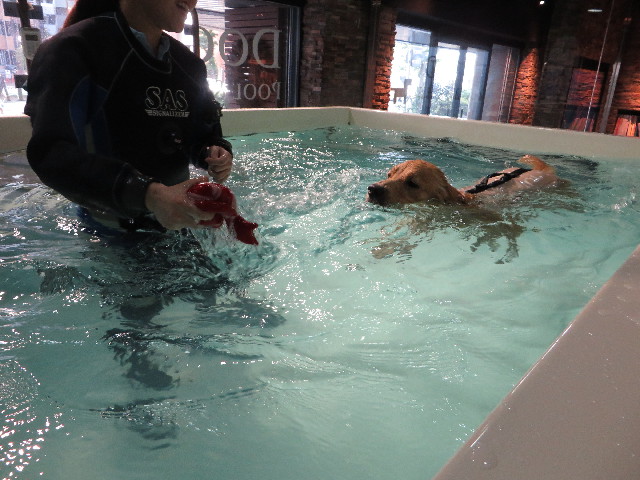 ファイル 7149-3.jpg