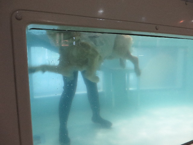 ファイル 7149-4.jpg