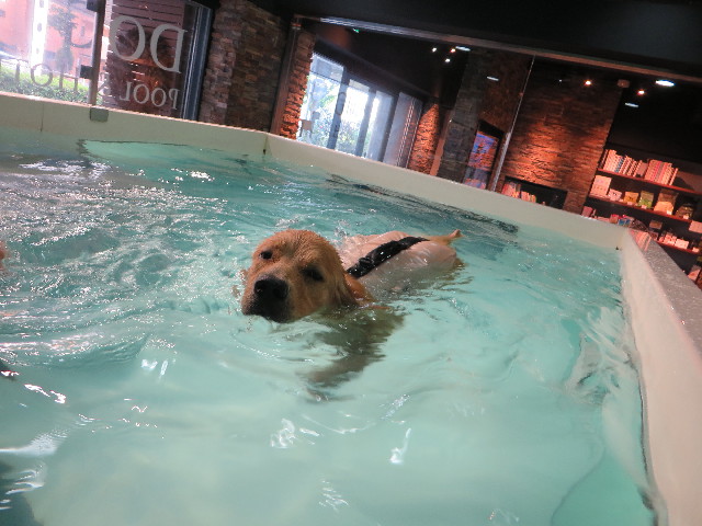 ファイル 7149-5.jpg