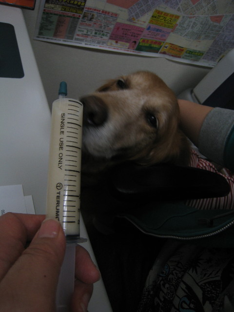 ファイル 715-1.jpg