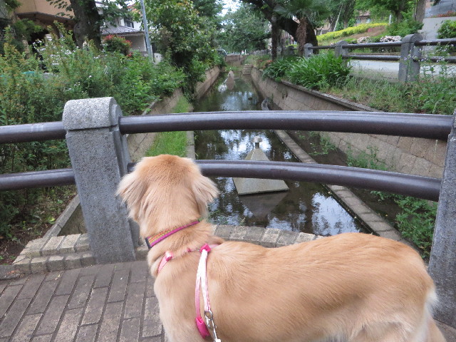 ファイル 7150-3.jpg