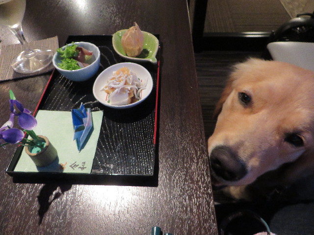 ファイル 7151-2.jpg