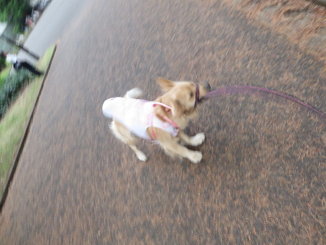 ファイル 7152-4.jpg