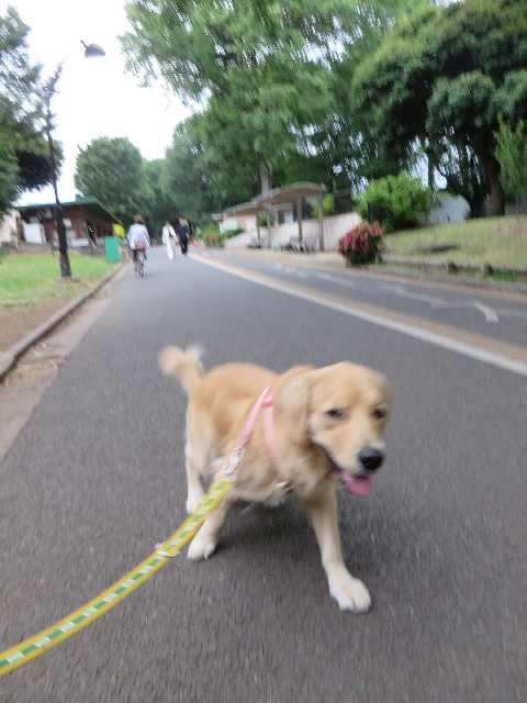 ファイル 7153-2.jpg