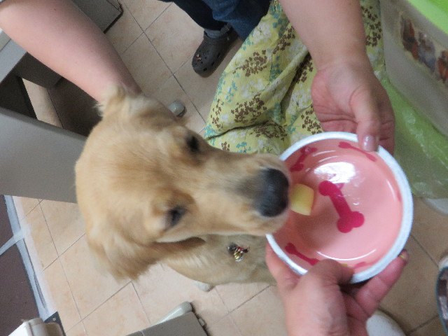 ファイル 7153-3.jpg