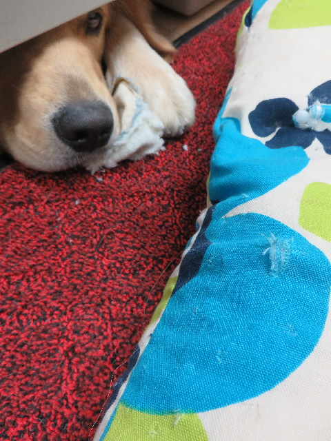 ファイル 7153-4.jpg