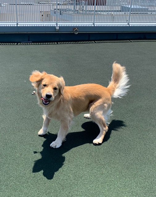 ファイル 7154-1.jpg