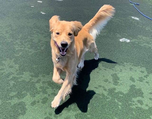 ファイル 7154-2.jpg