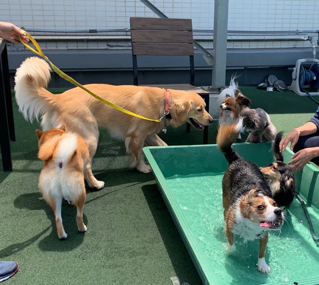 ファイル 7154-3.jpg