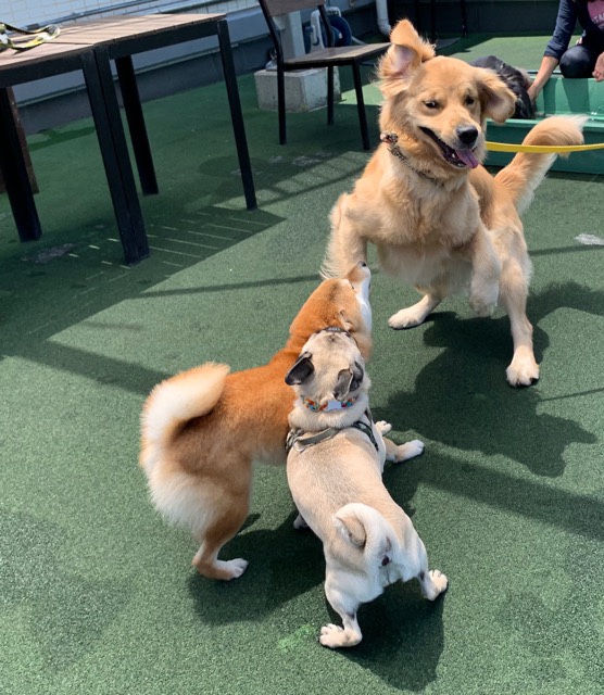 ファイル 7154-4.jpg