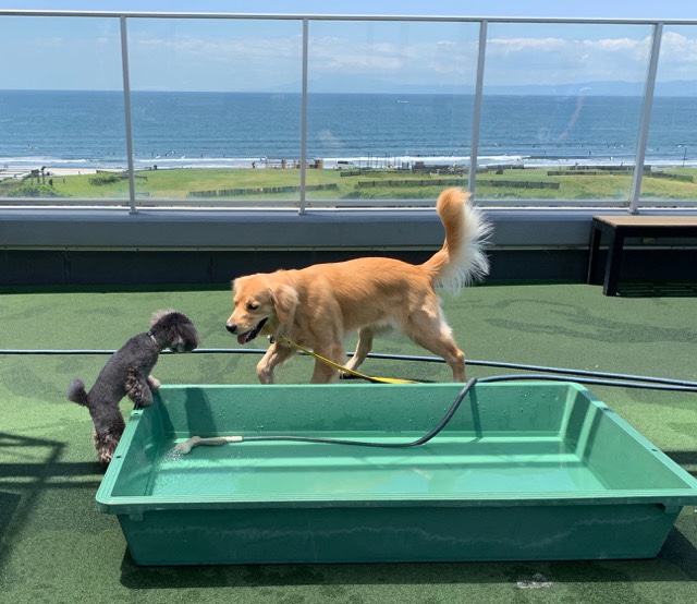 ファイル 7154-5.jpg