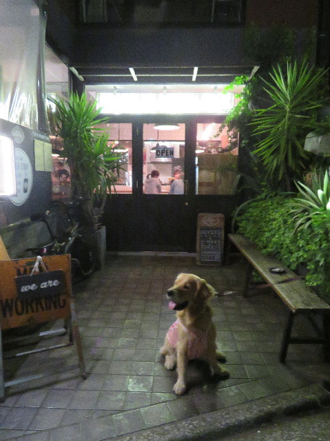 ファイル 7158-1.jpg