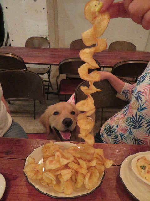 ファイル 7158-3.jpg