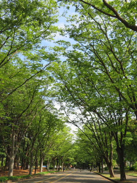 ファイル 7159-1.jpg