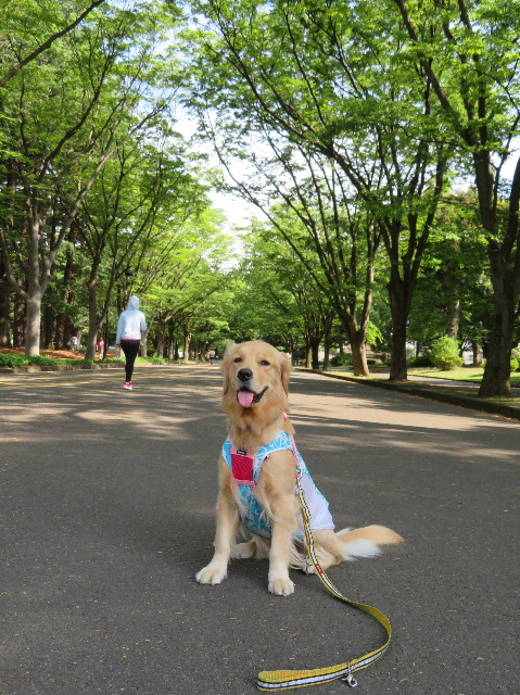 ファイル 7159-2.jpg