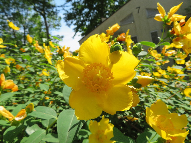 ファイル 7159-3.jpg