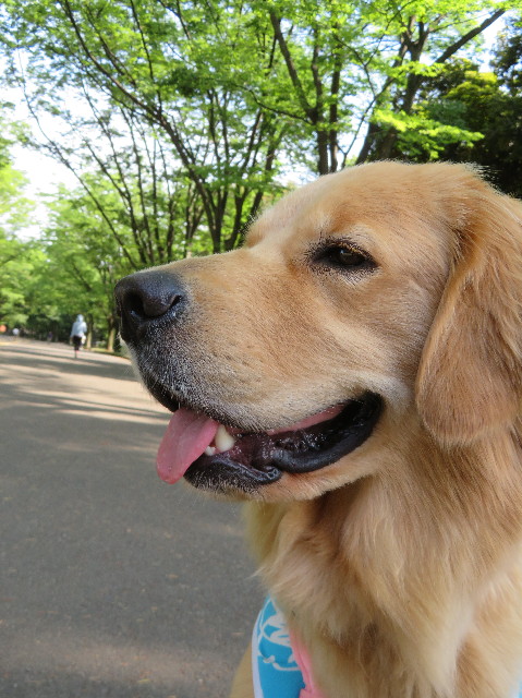 ファイル 7159-4.jpg