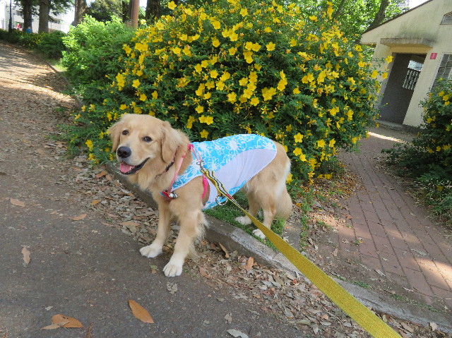 ファイル 7160-3.jpg