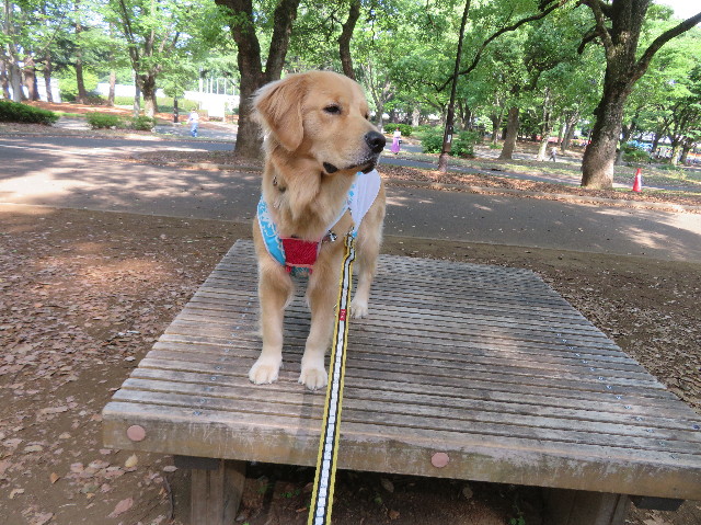 ファイル 7160-4.jpg