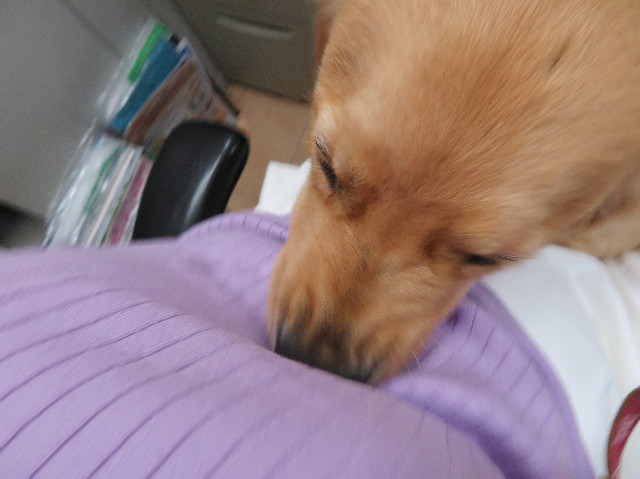 ファイル 7161-3.jpg