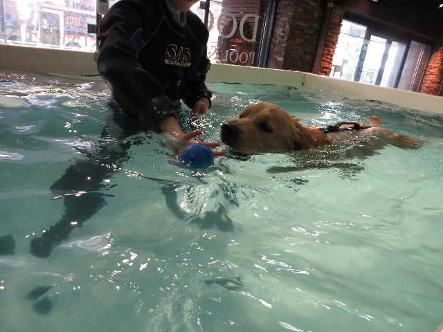 ファイル 7162-2.jpg