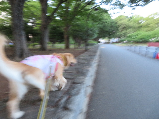 ファイル 7165-2.jpg