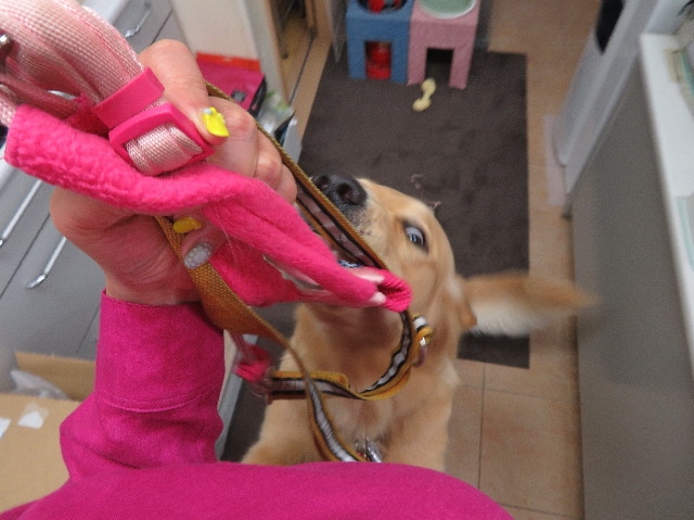 ファイル 7166-3.jpg