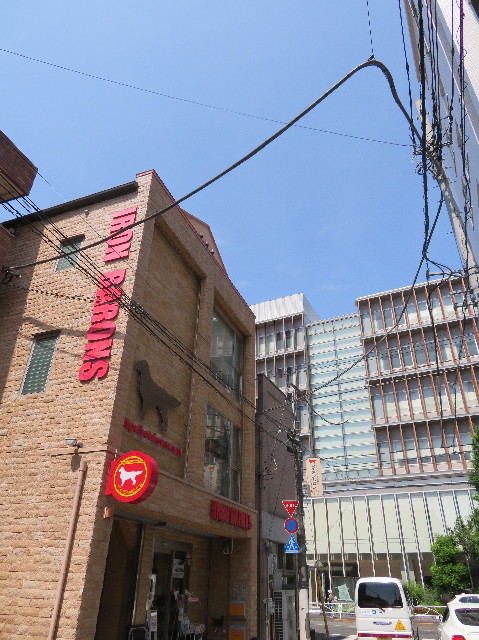 ファイル 7166-5.jpg