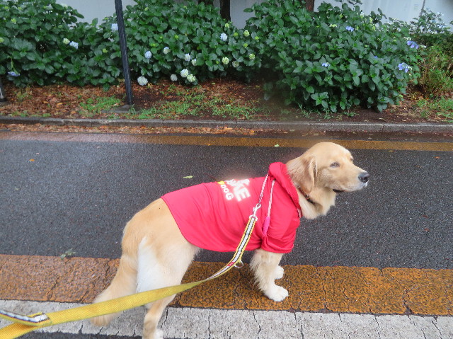 ファイル 7168-2.jpg