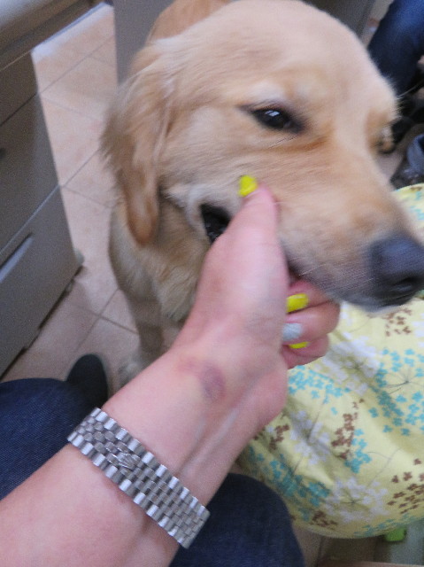 ファイル 7169-2.jpg