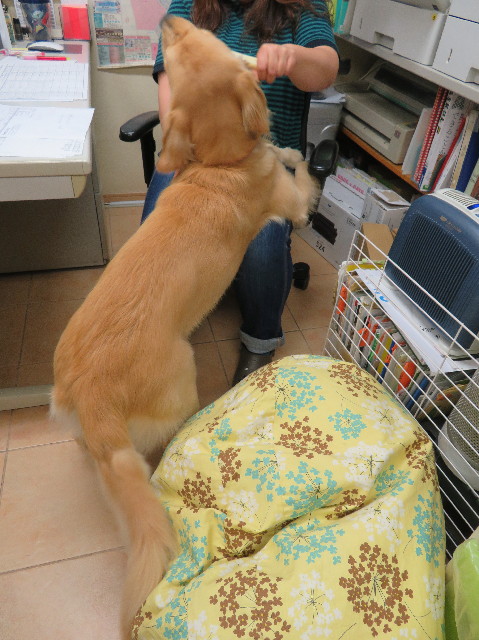 ファイル 7169-3.jpg