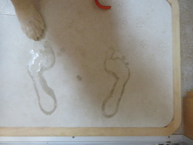 ファイル 7170-3.jpg