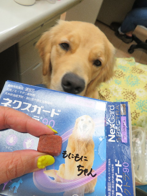 ファイル 7170-5.jpg