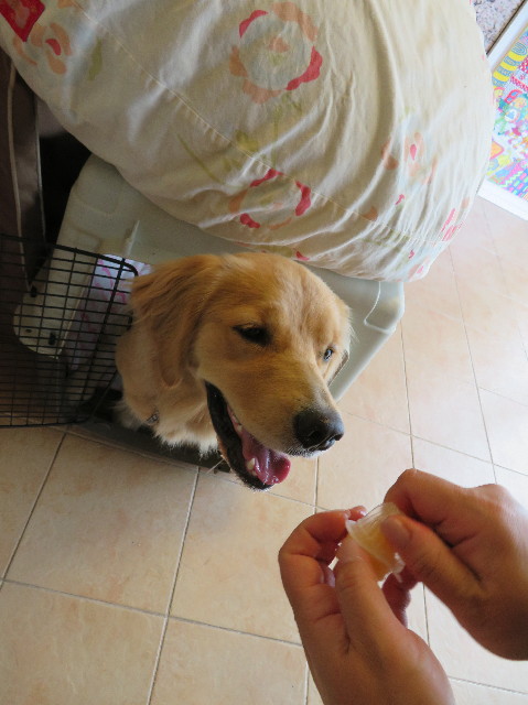 ファイル 7171-2.jpg