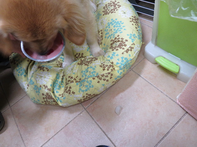 ファイル 7171-4.jpg