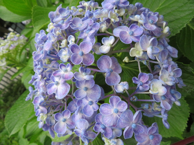 ファイル 7172-5.jpg