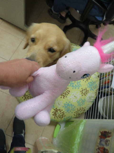 ファイル 7173-1.jpg