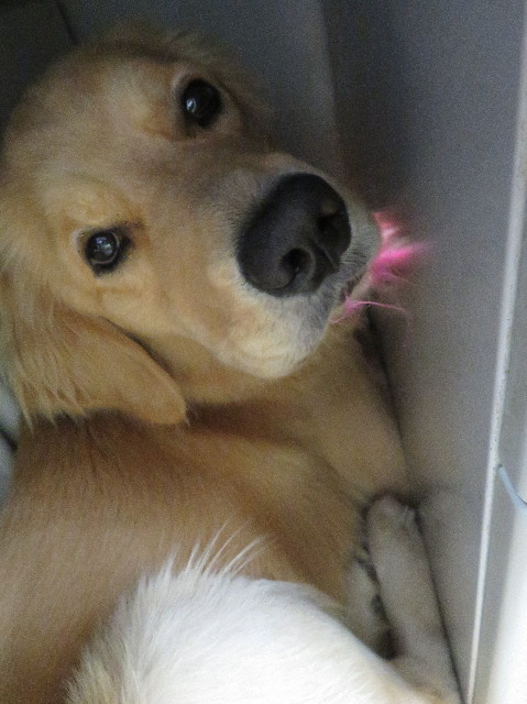 ファイル 7173-3.jpg