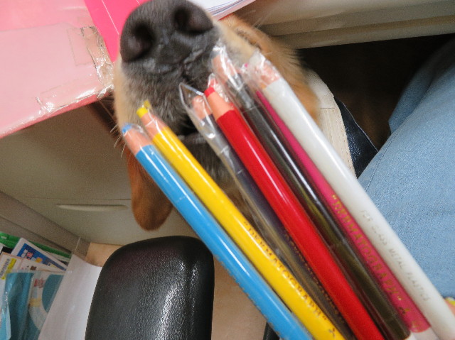 ファイル 7173-5.jpg