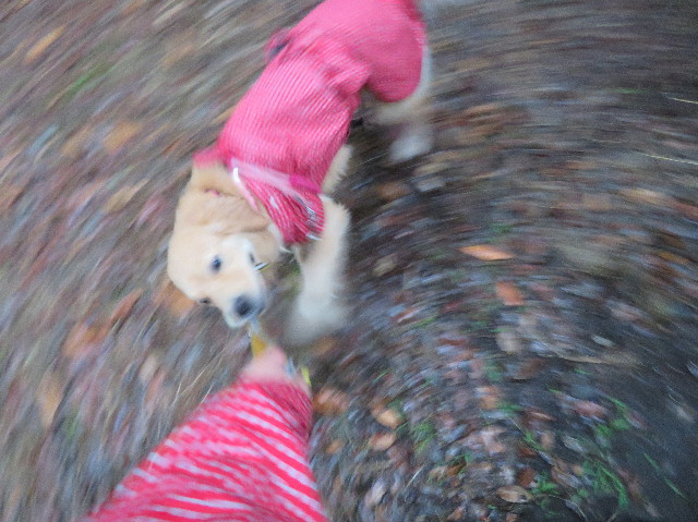 ファイル 7174-2.jpg